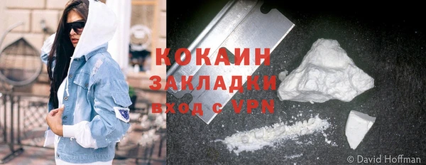мдпв Заводоуковск